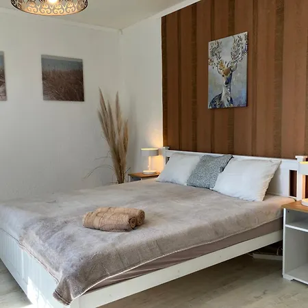 Felisa House Apartment *